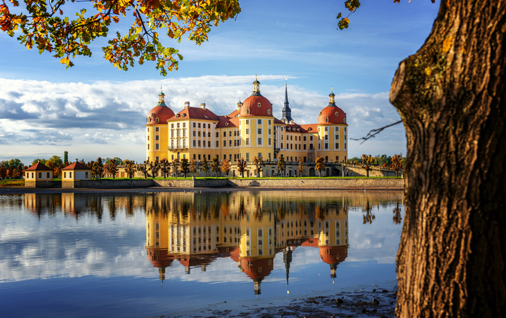 Schloss Moritzburg mit Spiegelung im Herbst - © David Schartner - stock.adobe.com