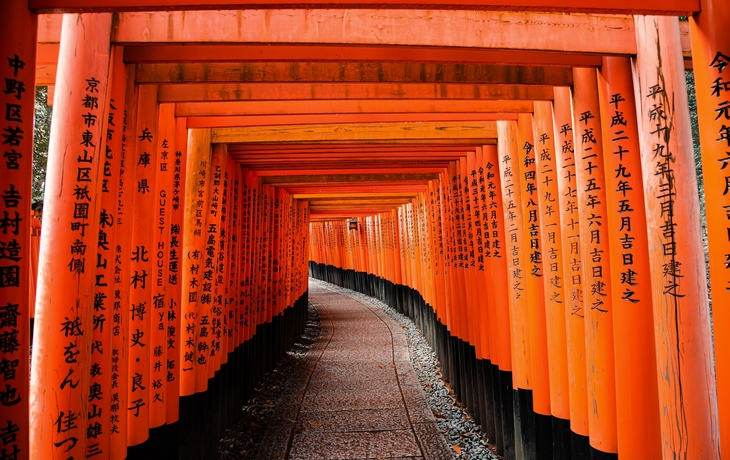 © Pinglabel/Shutterstock