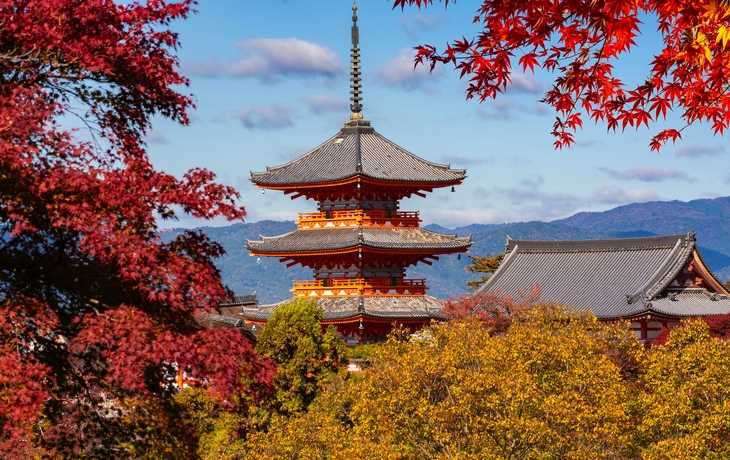 © Mistervlad/Shutterstock