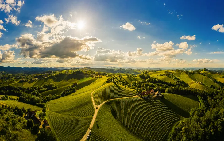 Luftbildpanorama der Weinberge in der Südsteiermark