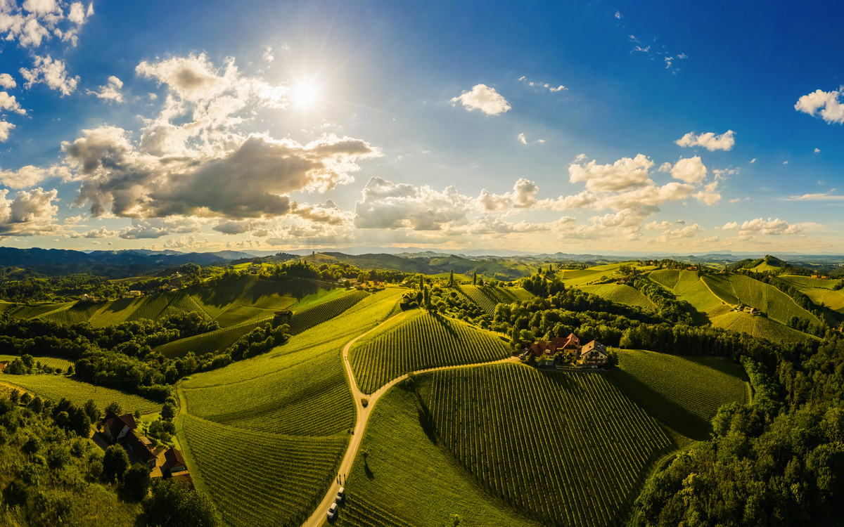 Luftbildpanorama der Weinberge in der Südsteiermark - © Przemyslaw Iciak - stock.adobe.com