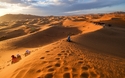 © tolobalaguer.com/Shutterstock