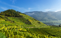 © stefan sio - stock.adobe.com
