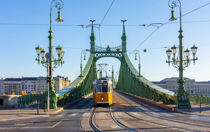 © Mistervlad/Shutterstock