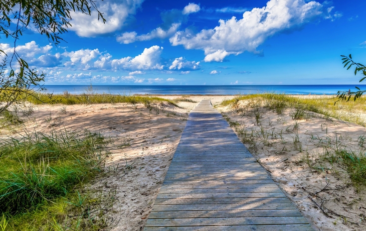 Footpath,Leading,To,Sand,Beaches,And,Dunes,On,A,Shore - © Sergei25/Shutterstock