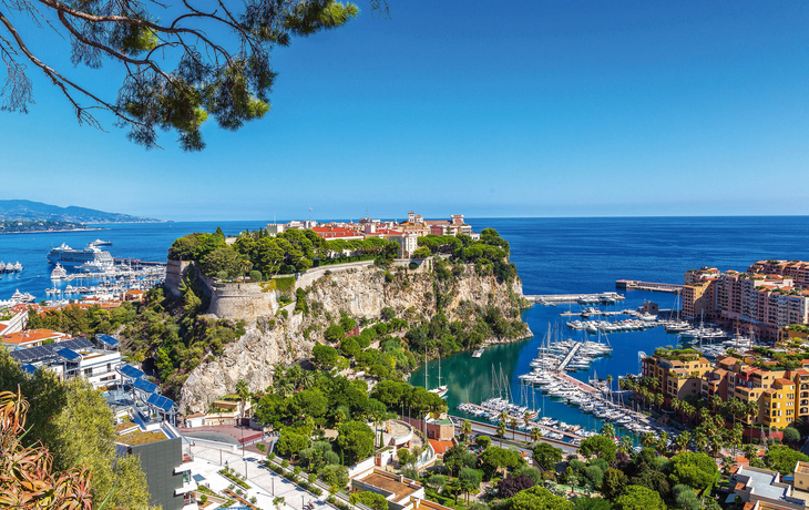 © Curioso.Photography - stock.adobe.com