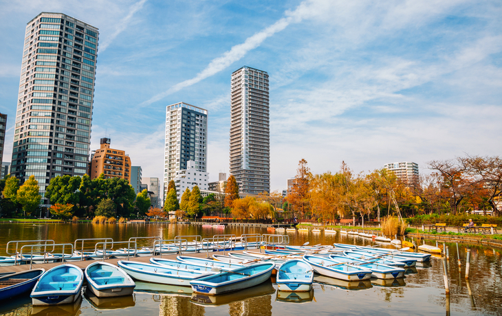 Holztor eines japanischen Schreins mit blauem Himmel und Bäumen im Hintergrund. - © beeboys - stock.adobe.com