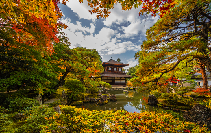 © sasazawa/Shutterstock