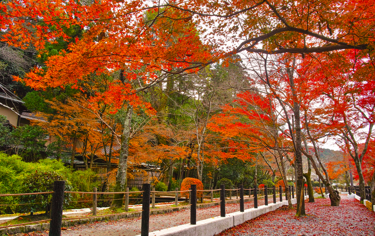 © sasazawa/Shutterstock