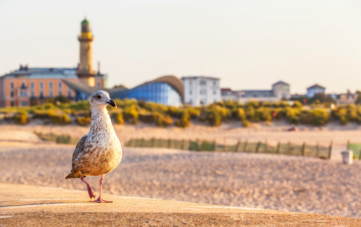 © 2020 75tiks/Shutterstock.  