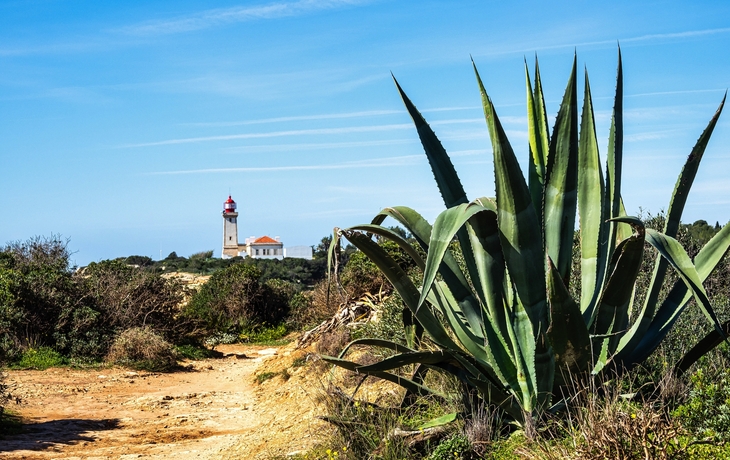 © Felix Lipov/Shutterstock