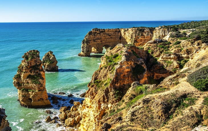 © Felix Lipov/Shutterstock