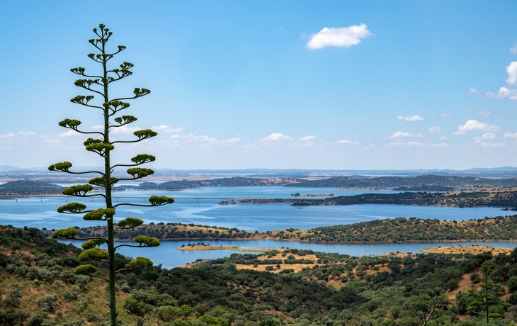 © trabantos/Shutterstock