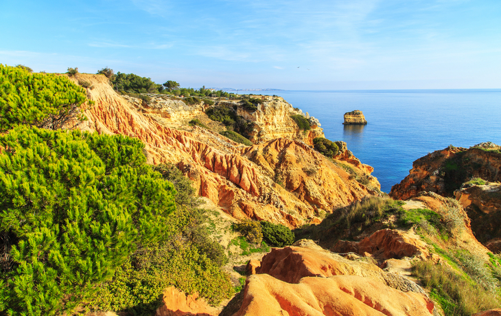 © RudiErnst/Shutterstock