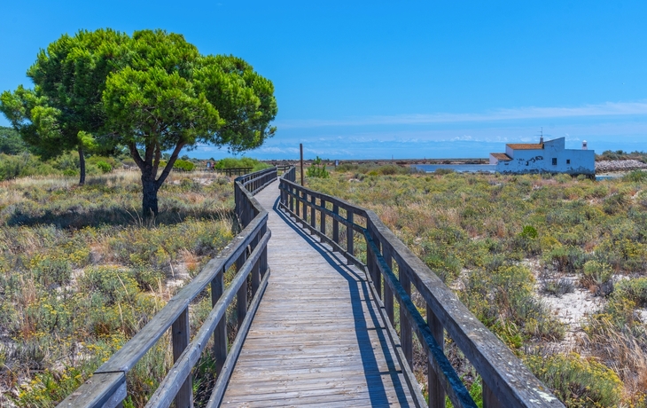 © RudiErnst/Shutterstock