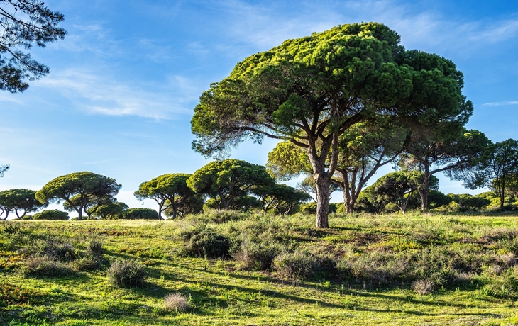 © RudiErnst/Shutterstock