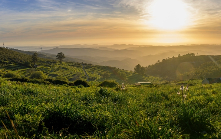 © Kristof Bellens/Shutterstock