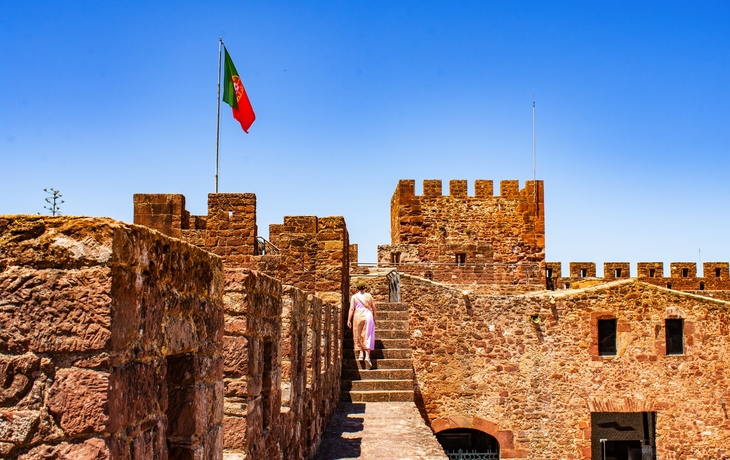 © Kristof Bellens/Shutterstock