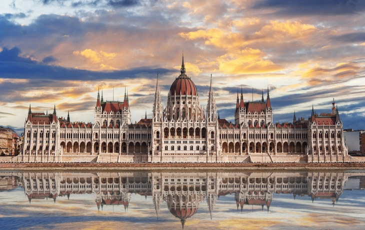 © LALS STOCK/Shutterstock