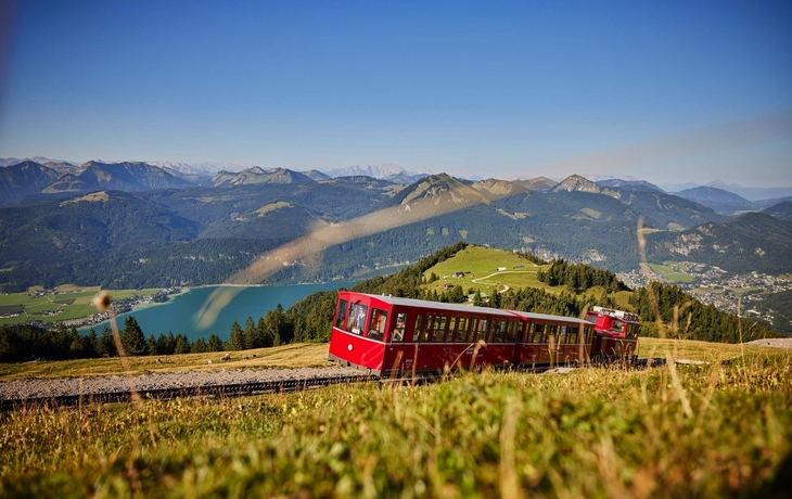 © Roman Kybus/Shutterstock