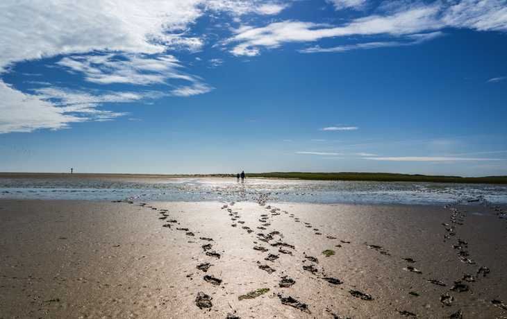© Animaflora PicsStock/Shutterstock