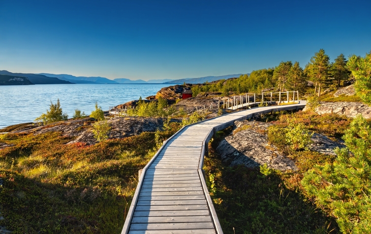 © Adwo/Shutterstock