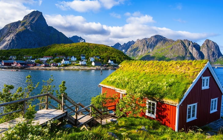 © Gert-Jan van Vliet/Shutterstock