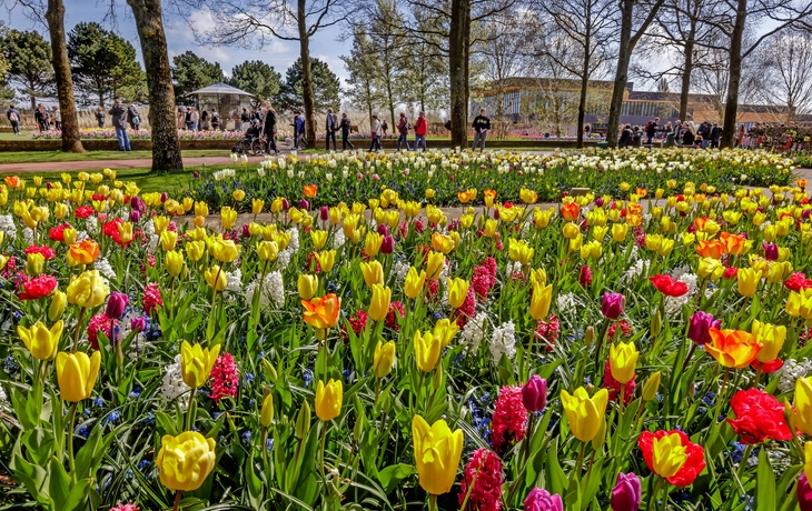 Park mit bunten Blumenbeeten, Bänken und Bäumen im Sonnenlicht. - © rois010 - stock.adobe.com