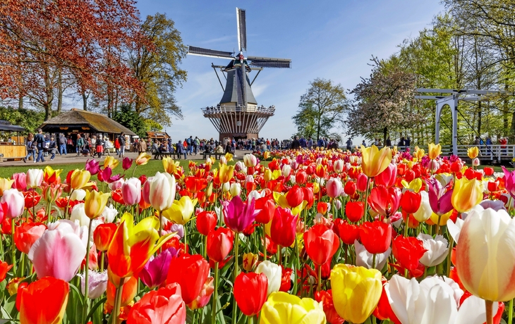 Park mit bunten Blumenbeeten, Bänken und Bäumen im Sonnenlicht. - © rois010 - stock.adobe.com