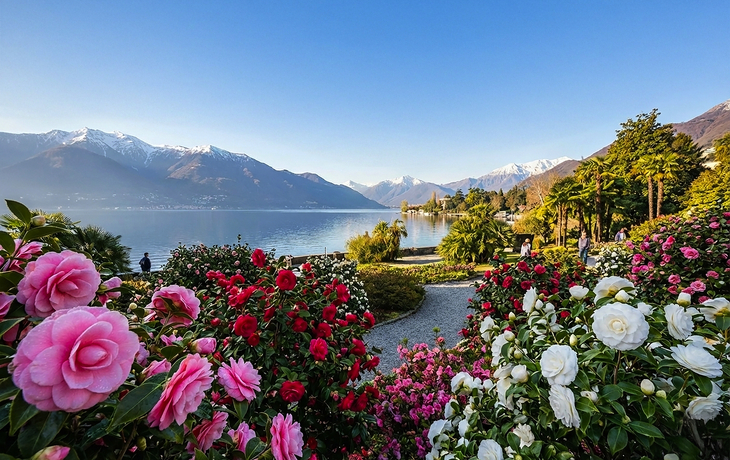 © Ascona-Locarno Tourism/Alessio Pizzicannella