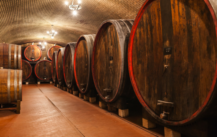 © Virrage Images/Shutterstock