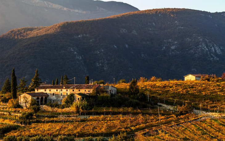 © Virrage Images/Shutterstock