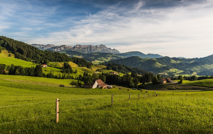 © Kamil Kwiatkowski/Shutterstock