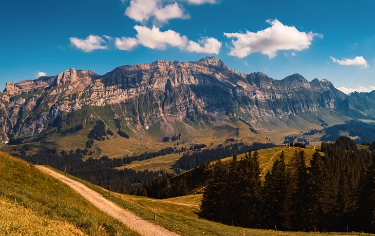 © Kamil Kwiatkowski/Shutterstock