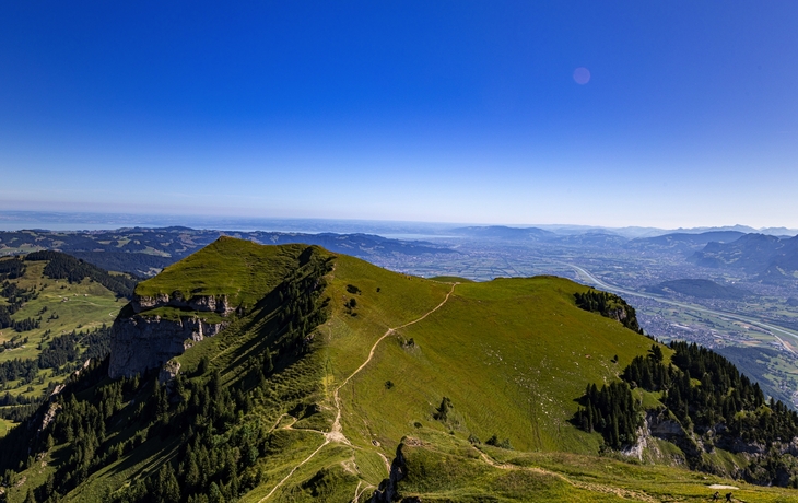 © Kamil Kwiatkowski/Shutterstock