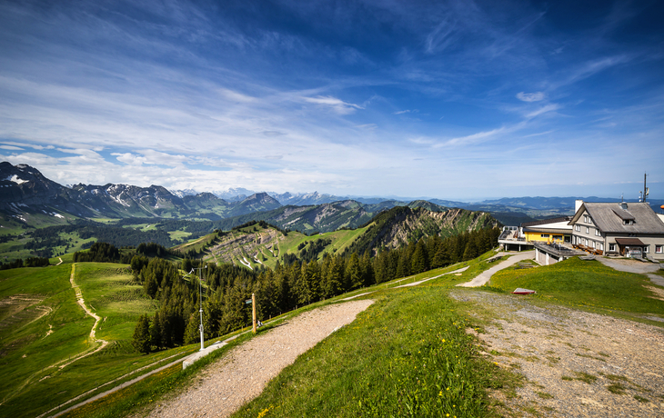 © Kamil Kwiatkowski/Shutterstock