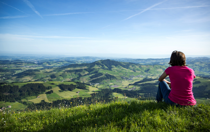 © Kamil Kwiatkowski/Shutterstock