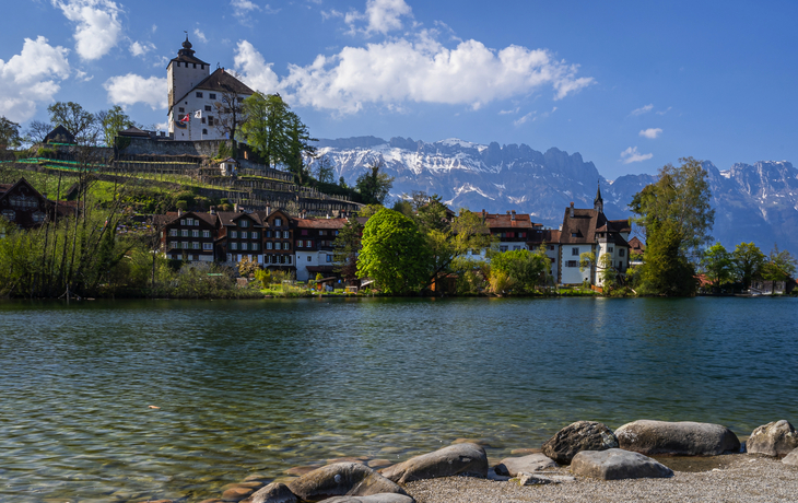© Taljat David/Shutterstock