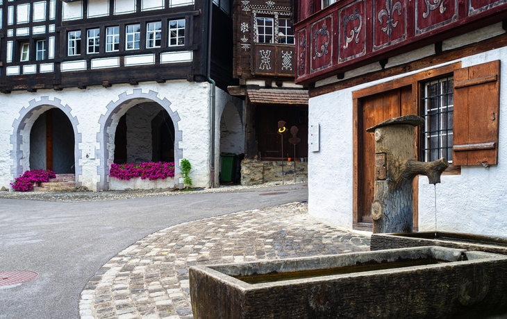 © Taljat David/Shutterstock