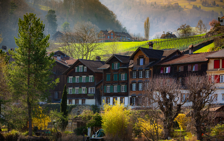 © Taljat David/Shutterstock