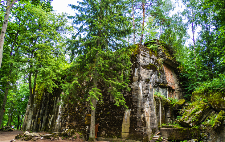 © Curioso.Photography/Shutterstock