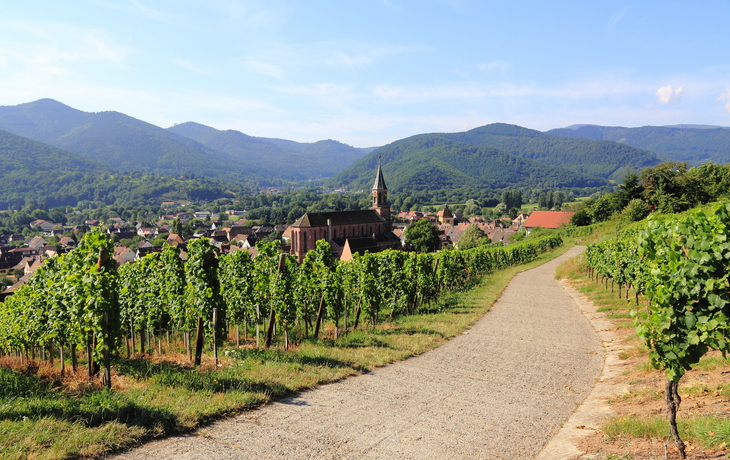 © Fabrice BAREUX, CC BY-SA 3.0 Wikimedia Commons