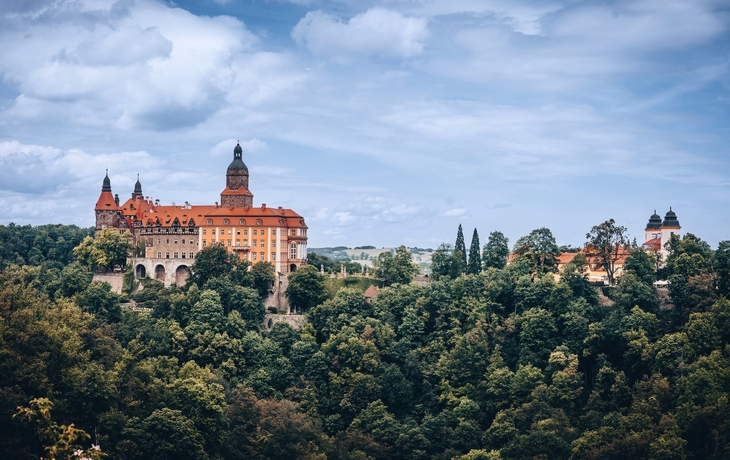 Städtischer Platz mit historischen Gebäuden und Bäumen an einem sonnigen Tag. - © Marcin - stock.adobe.com