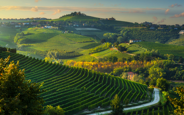 © Luigi Bertello/Shutterstock
