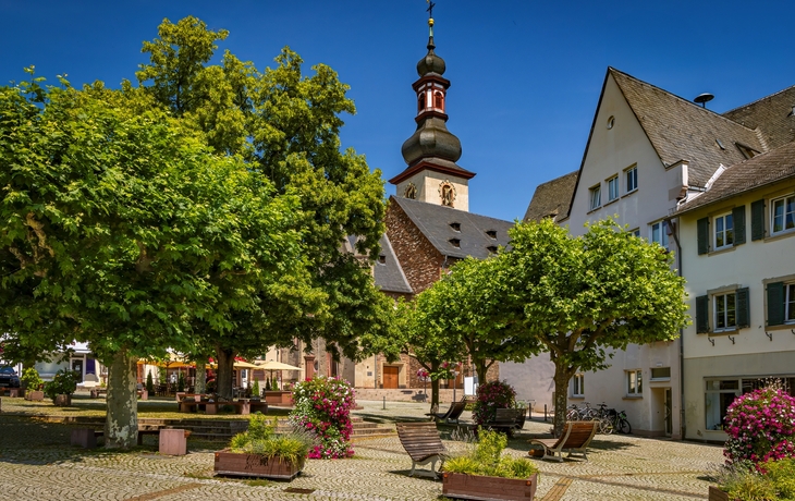 © WD Suncrest/Shutterstock
