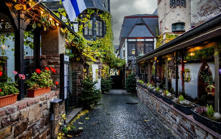 © WD Suncrest/Shutterstock