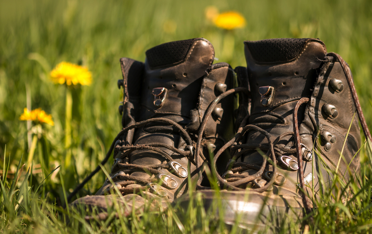 © Mykhaylo Feshchur - stock.adobe.com