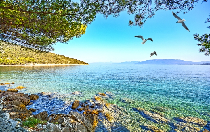 ©Maciej Olszewski - stock.adobe.com