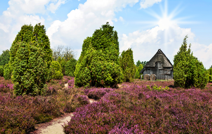 © Sina Ettmer Photography/Shutterstock