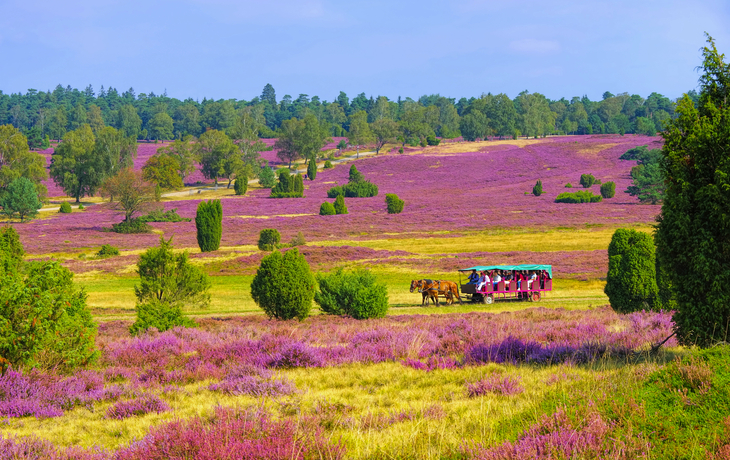 © Sina Ettmer Photography/Shutterstock